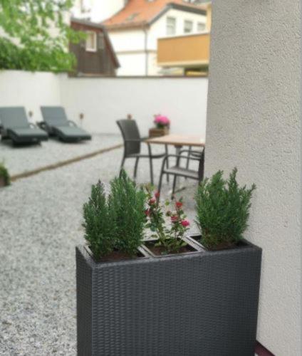 Regiohotel Germania Am Kurpark Bad Harzburg Exterior photo